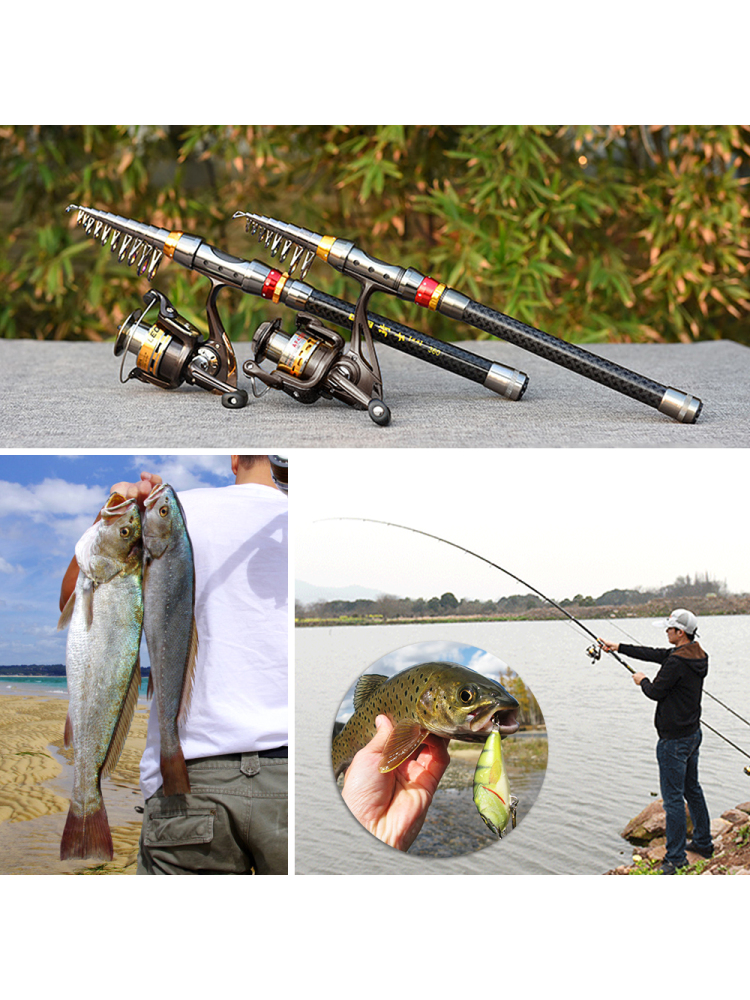 Fishing Rod Spinning Reel Comb - Freshwater Line review and price