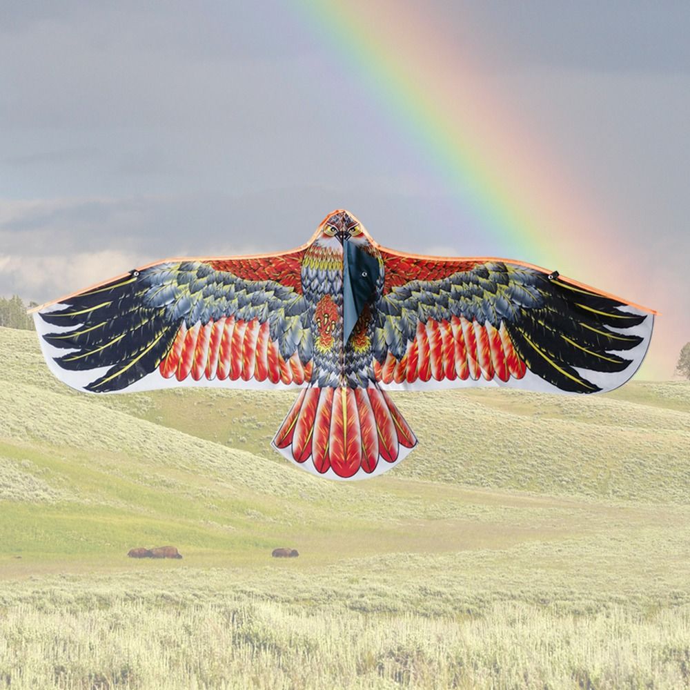 1.1m Eagle Kite With 30m Kite  - Fly Line review and price